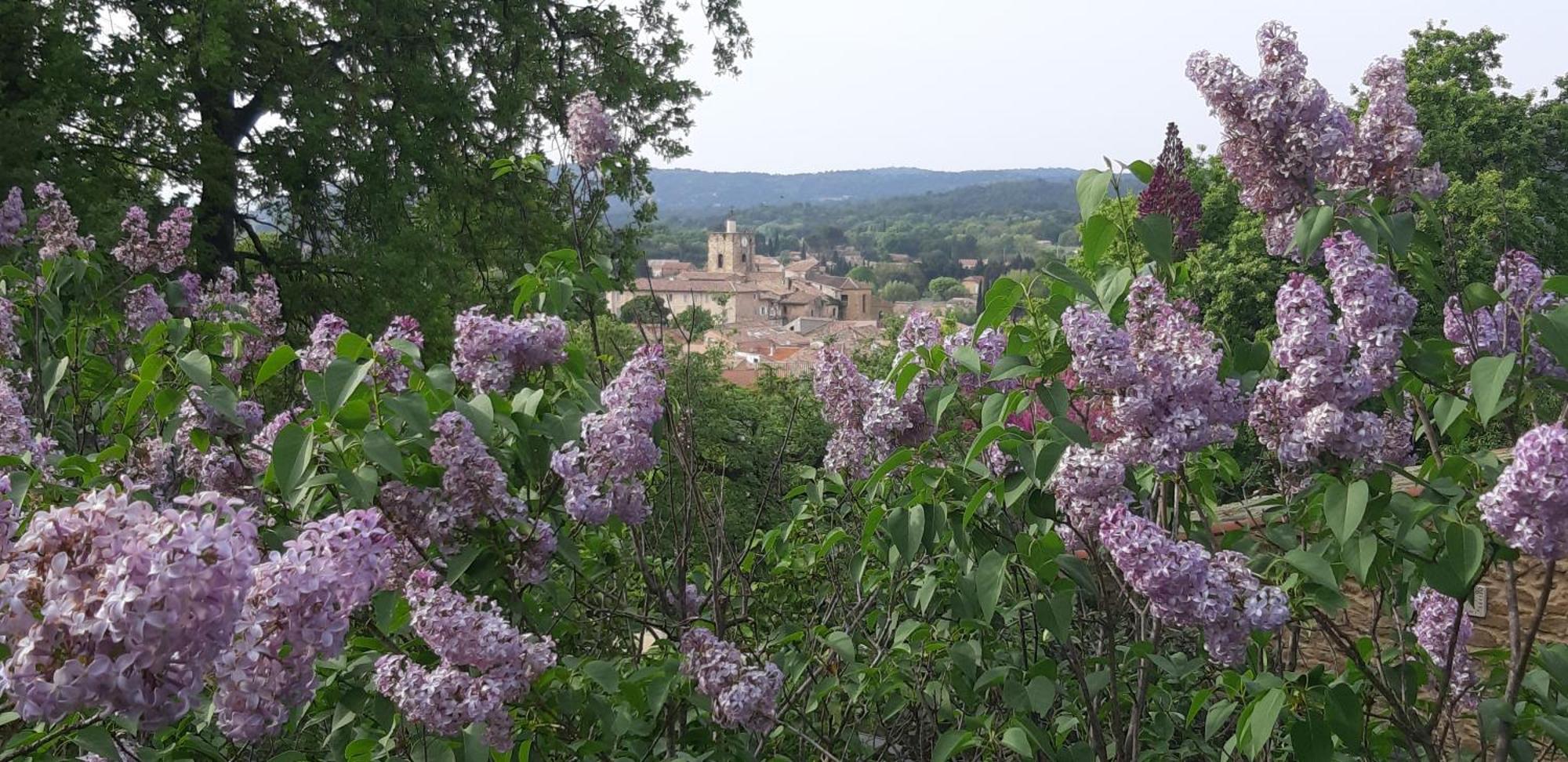 Les Lilas Des Chenes Piolenc Exterior photo